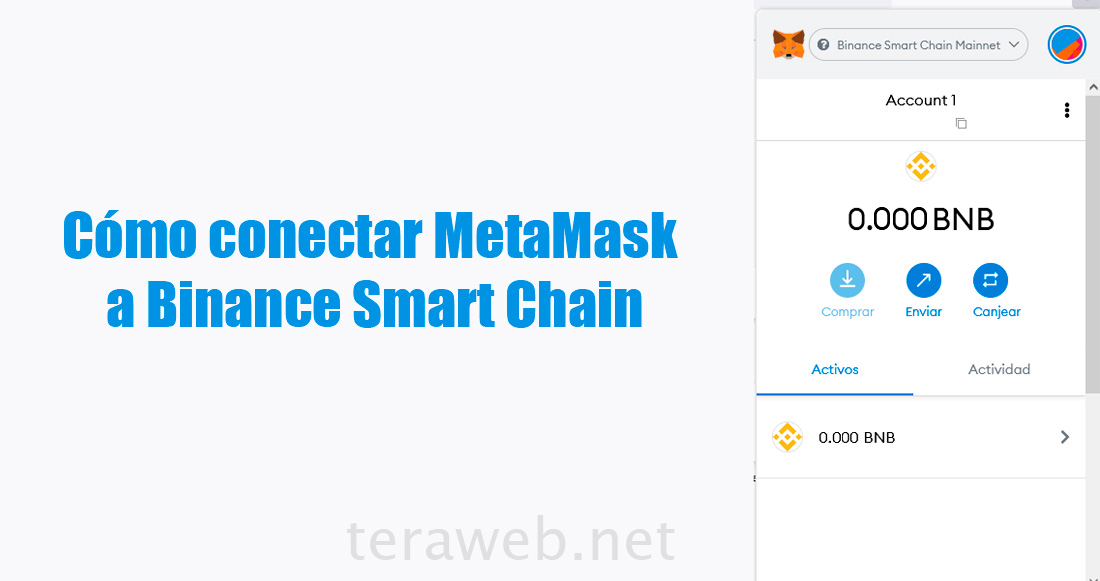 Cómo conectar MetaMask a Binance Smart Chain